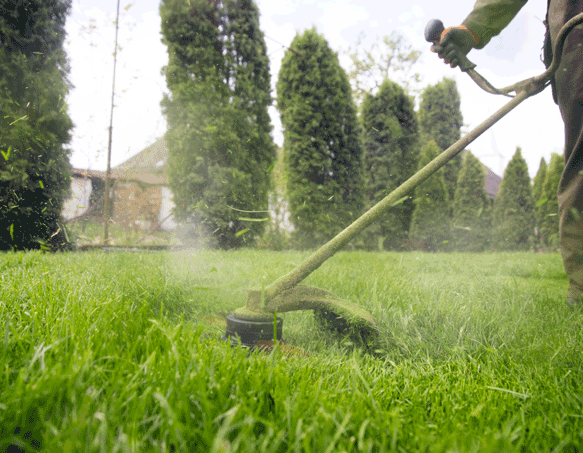 Entretien de jardin Brignoles 