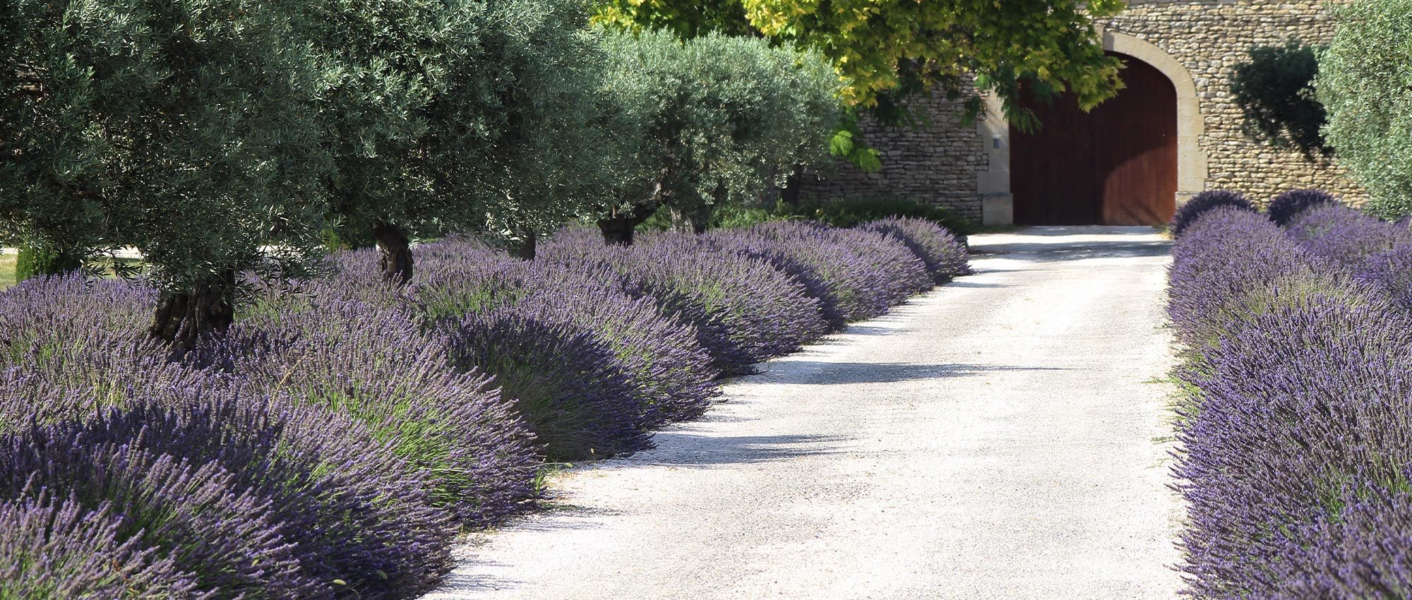 Passion Jardin en Provence