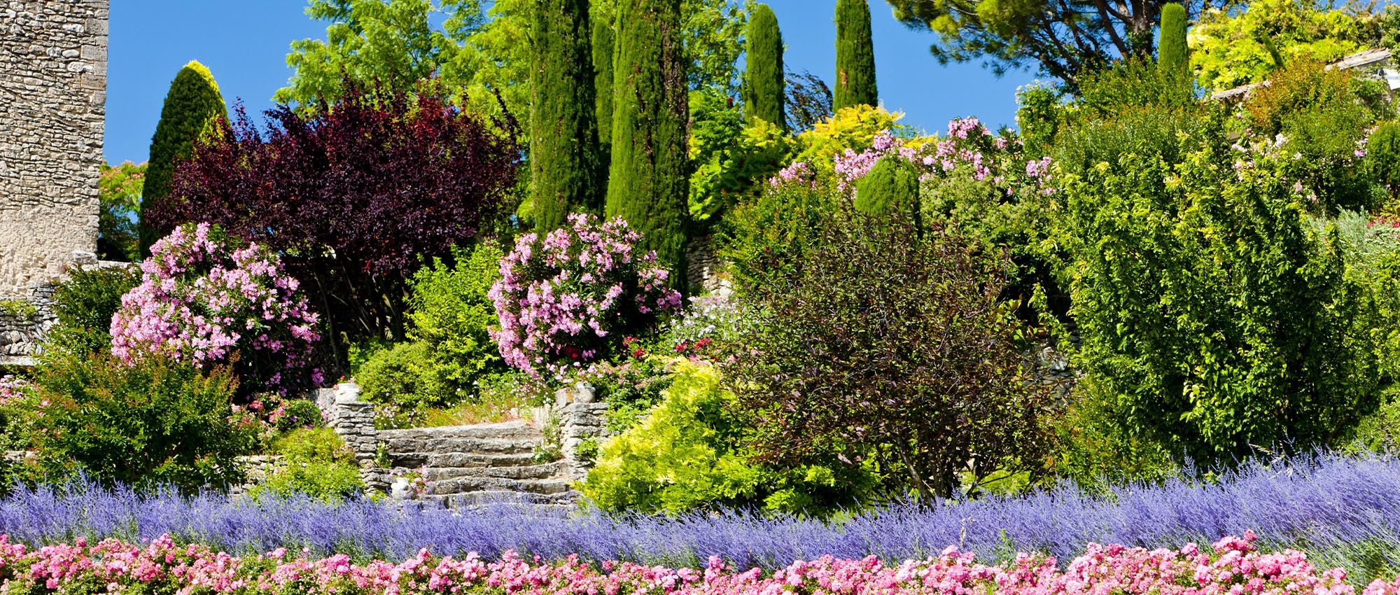 Passion Jardin en Provence