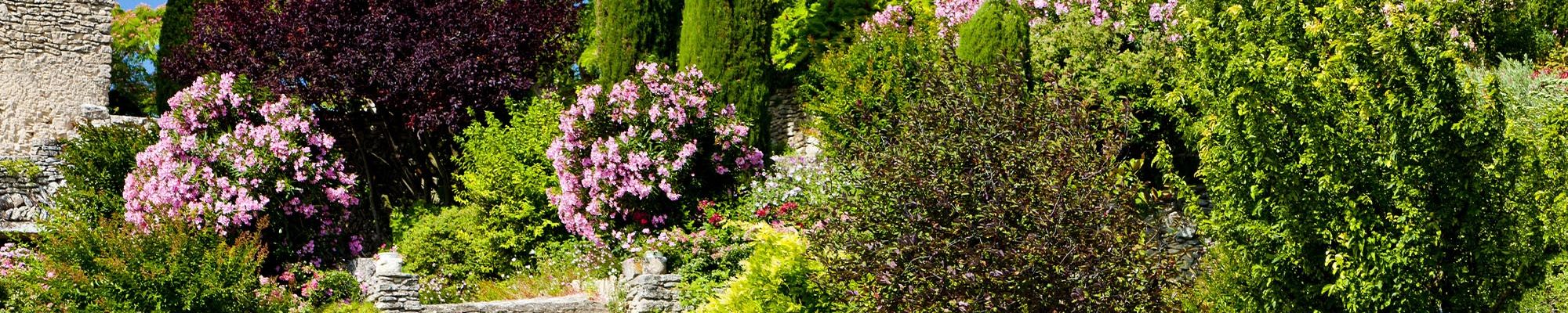 Passion Jardin en Provence