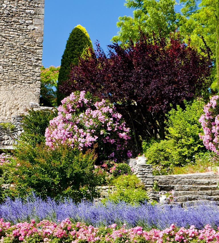 Passion Jardin en Provence