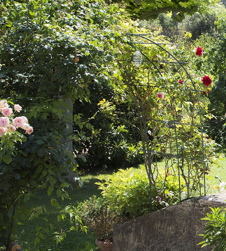 Passion Jardin en Provence